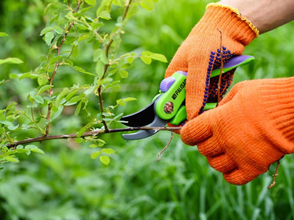 Hausbau Helden Gartenarbeit ist absetzbar