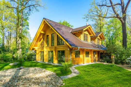 Nordwind - Ein Baum vor einem Haus - Holzhaus