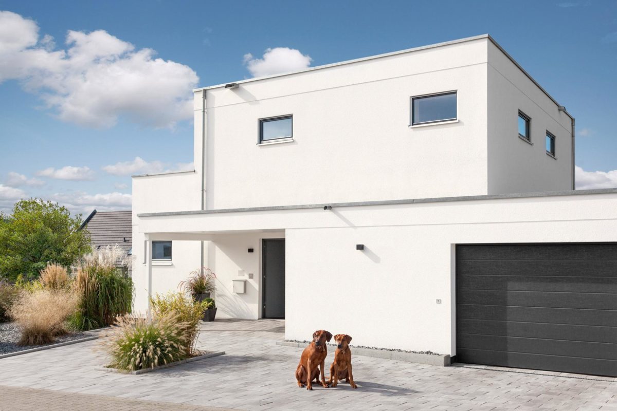 Haus Groh - Ein Hund sitzt vor einem Gebäude - Bauhaus