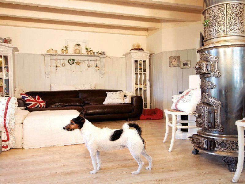 Kleine Traumvilla - Ein Hund in einem Raum stehen - Wohnzimmer