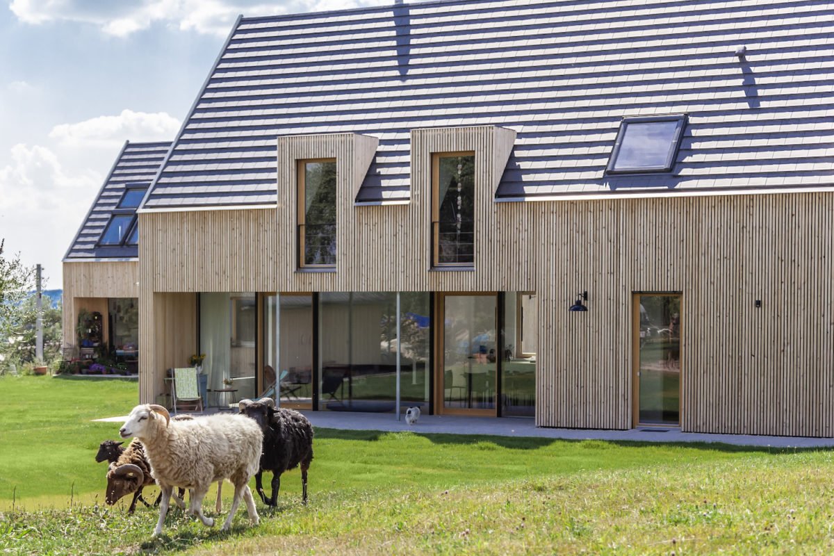 Landhaus Wolfenbrueck - Eine Gruppe von Schafen, die vor einem Gebäude stehen - Weide