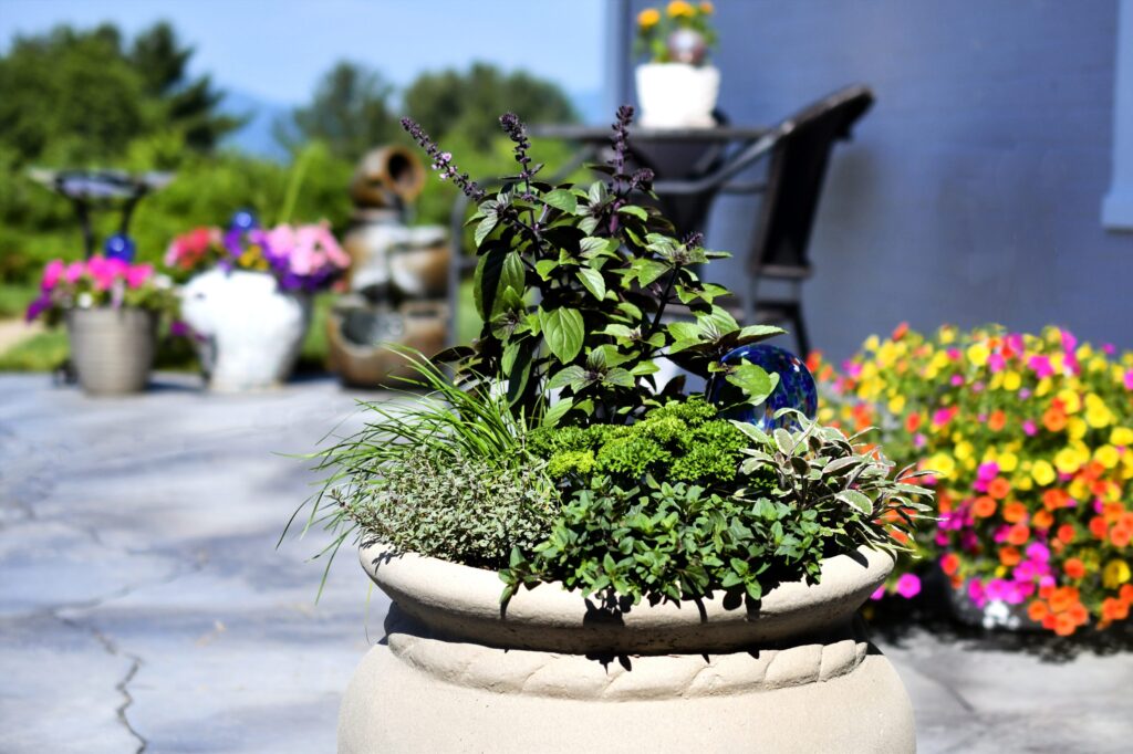 Pflanzkübel mit blühenden Pflanzen auf einer Terrasse