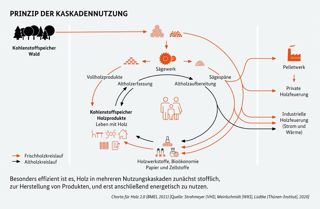 Infografik Holzindustrie