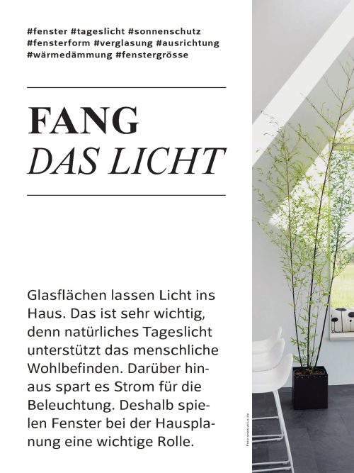 Darum spielen Fenster für die Hausplanung eine wichtige Rolle