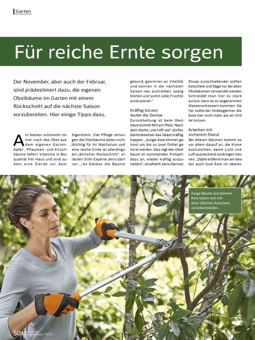 Der richtige Baumschnitt