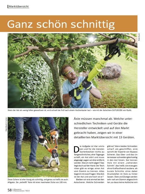 Garten- und Astscheren Marktübersicht