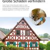 Hausbau Helden Holzschutz: Schäden durch Insekten vermeiden