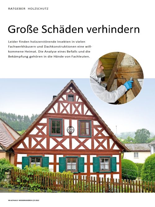 Holzschutz: Schäden durch Insekten vermeiden