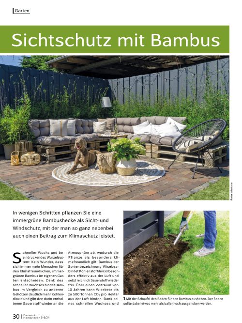 Sichtschutz mit Bambus