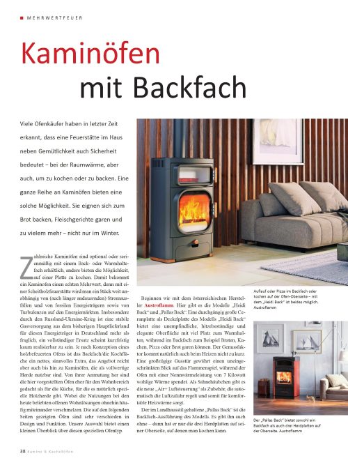 Übersicht: Kaminofen mit Backfach