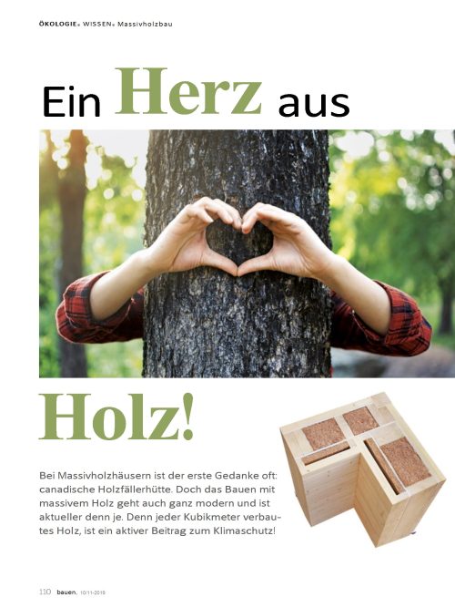 Vorteile Massivholzhaus: Das sollten Sie wissen