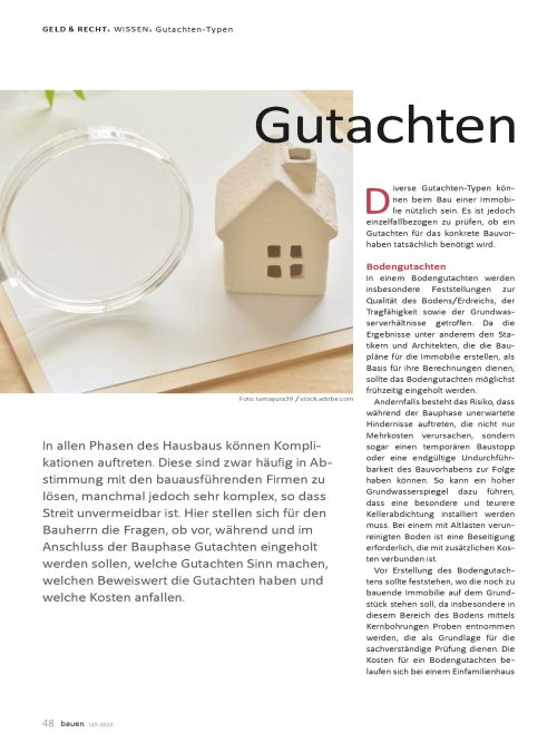 Was gibt es für Gutachten-Typen?
