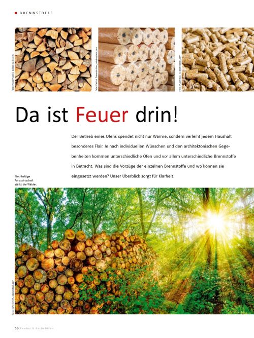 Welcher Brennstoff für welchen Ofen?