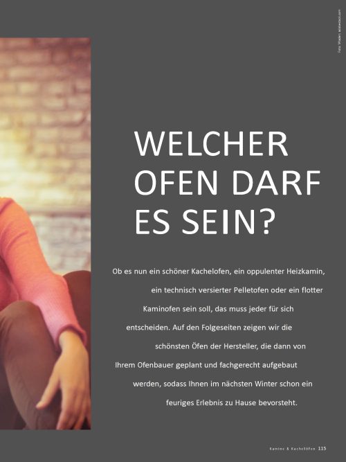 Welcher Ofen darf es sein?
